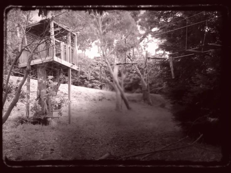 abandoned treehouse