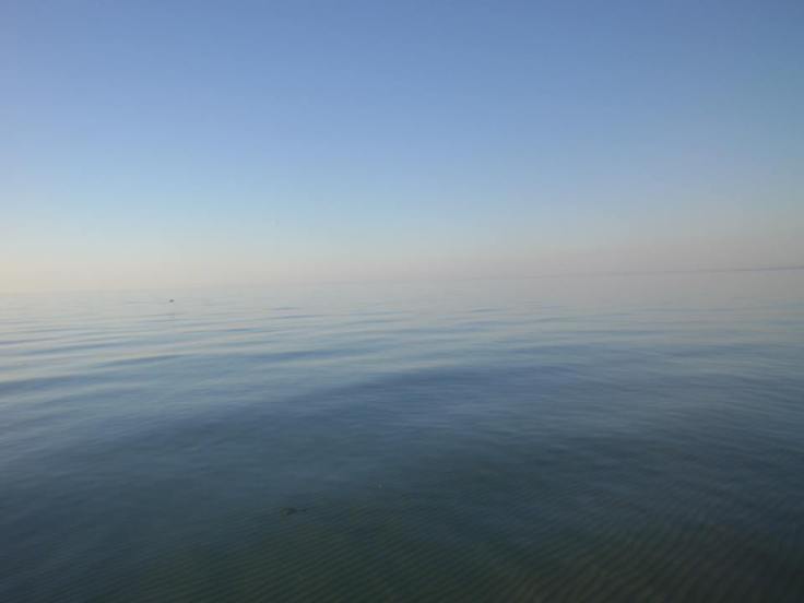 11745856_922252884511797_7740762710096789048_n