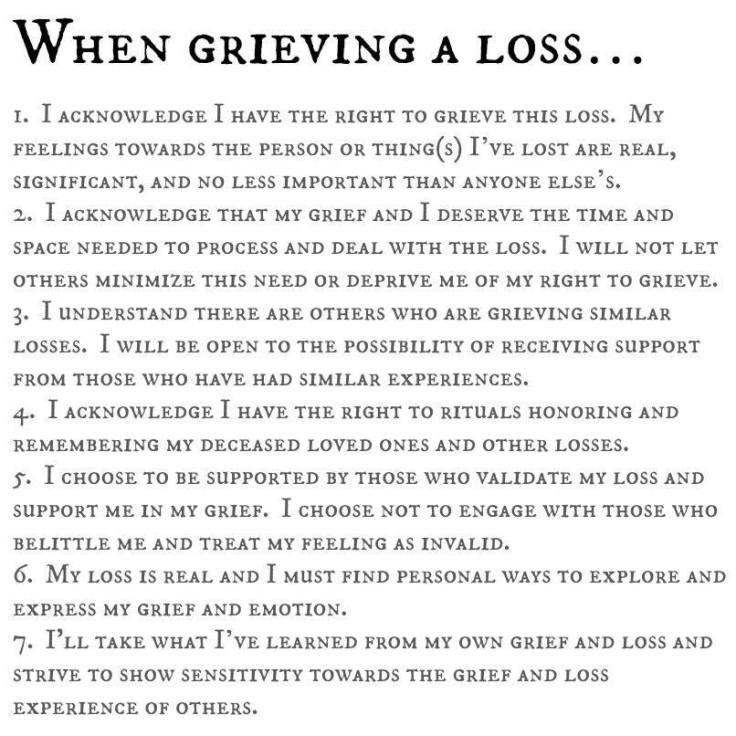 13880137_869857613147444_2590521504472387536_n