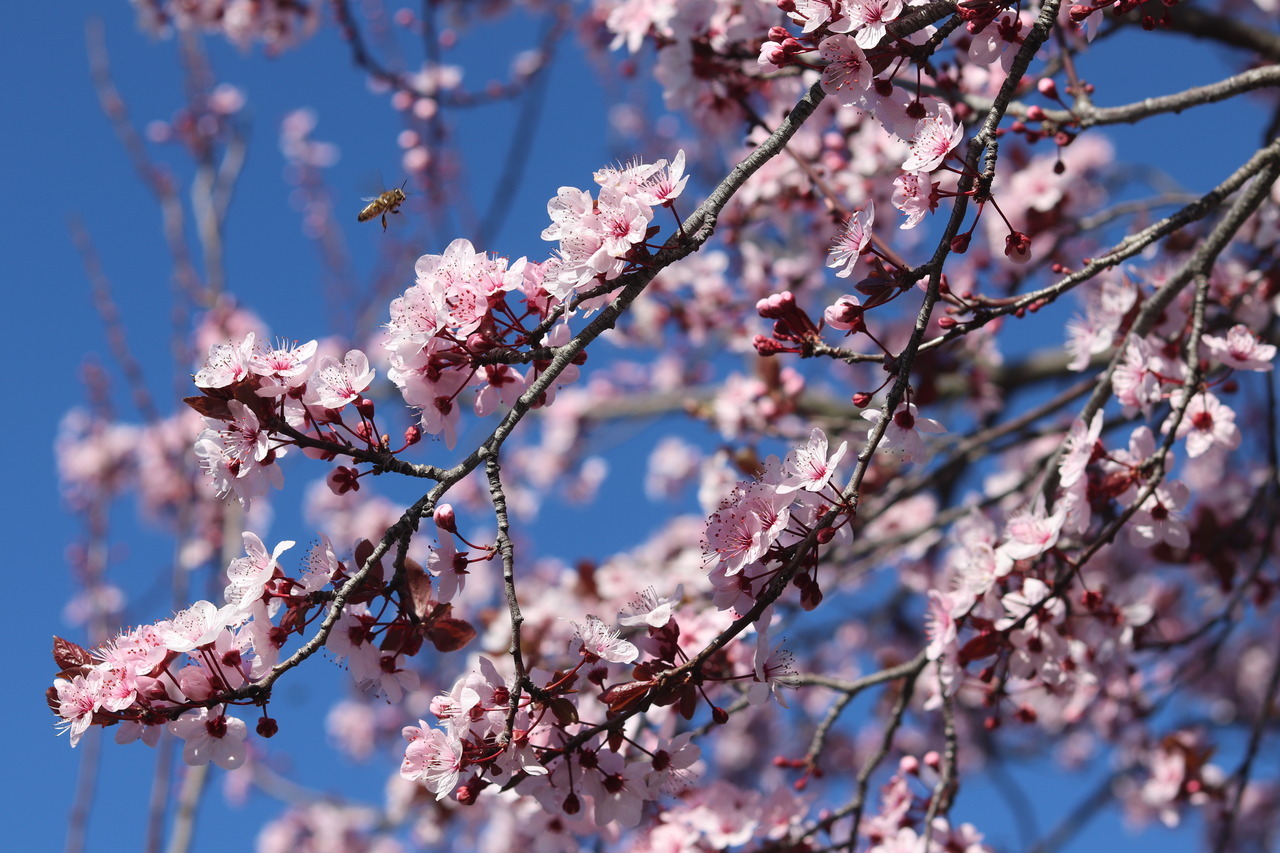 tumblr_pe7v62wWVn1wt44dqo1_1280